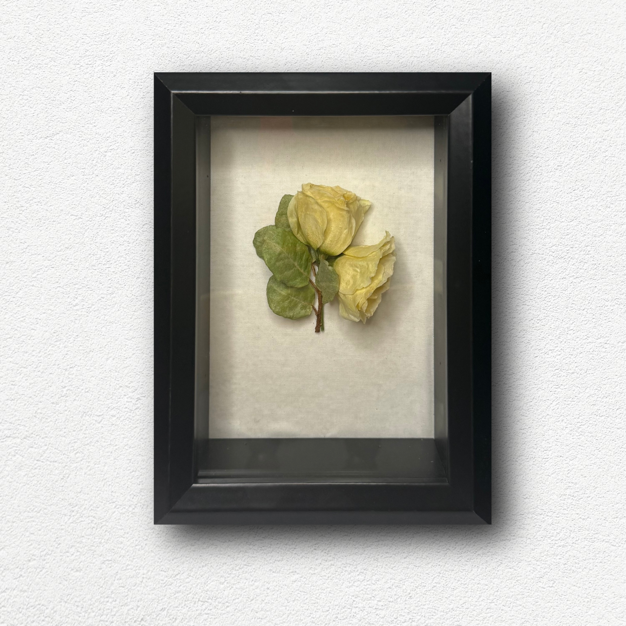 Floral Preservation Shadow Box 5X7